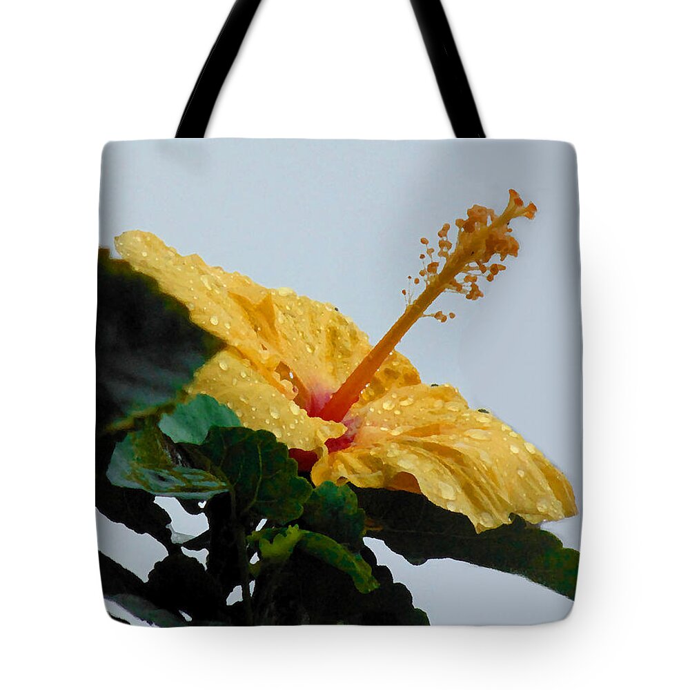 Photography Tote Bag featuring the photograph Look at me just for a while by Marcello Cicchini