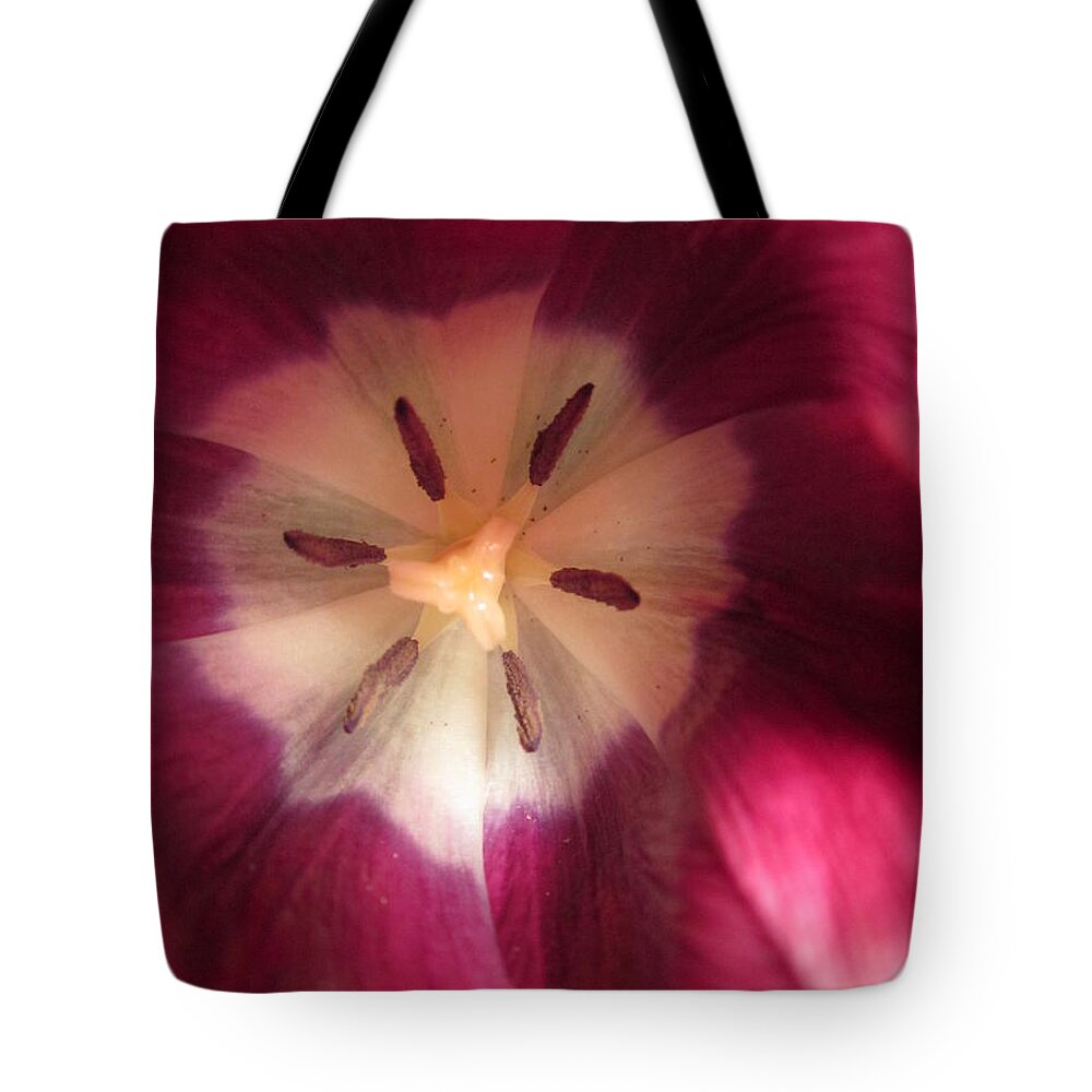 Flowers Tote Bag featuring the photograph Look at me by Rosita Larsson
