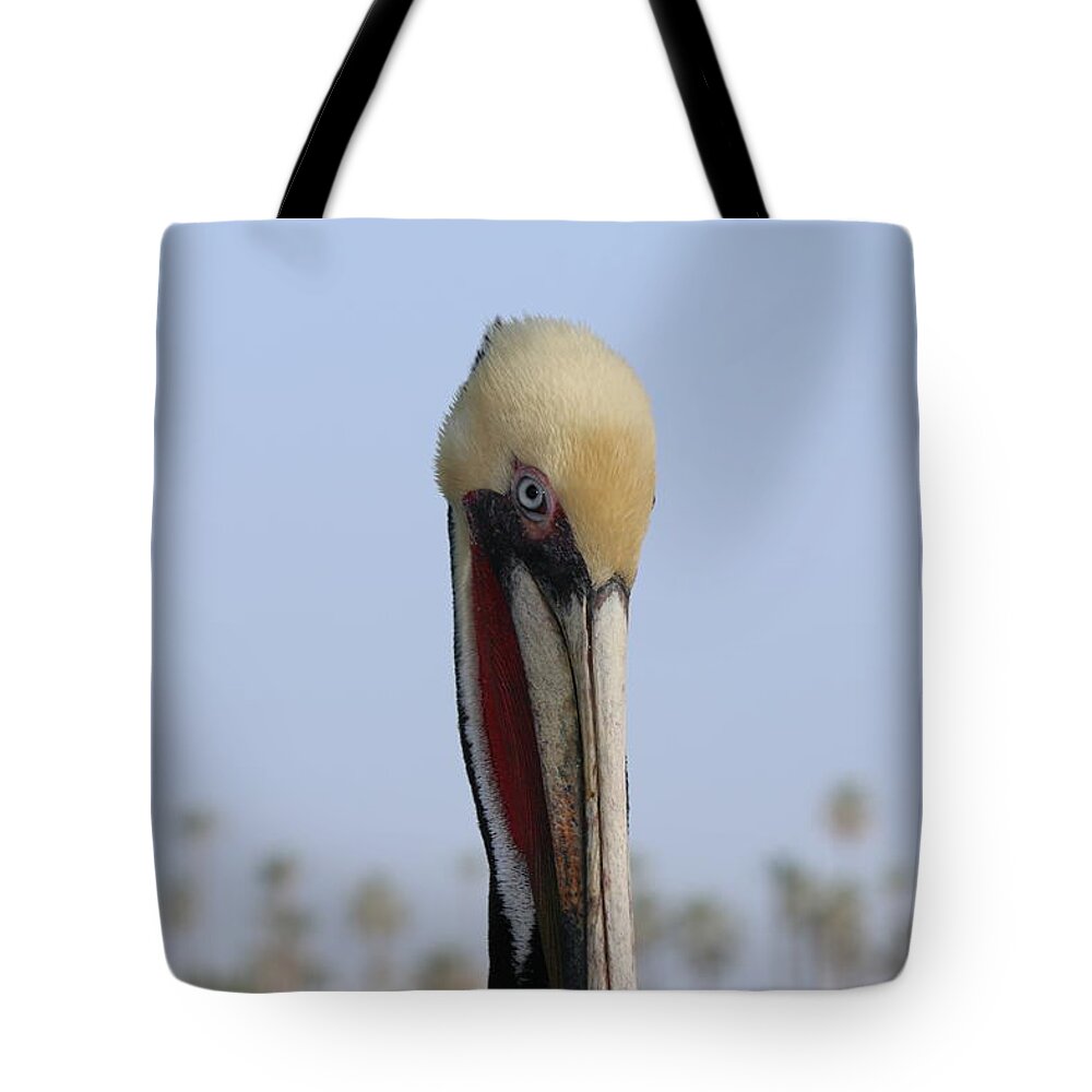 Wild Tote Bag featuring the photograph Look Into My Eye by Christy Pooschke