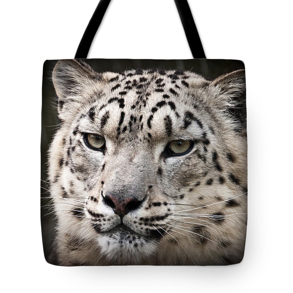 Marwell Tote Bag featuring the photograph Look into my leopard eyes by Chris Boulton