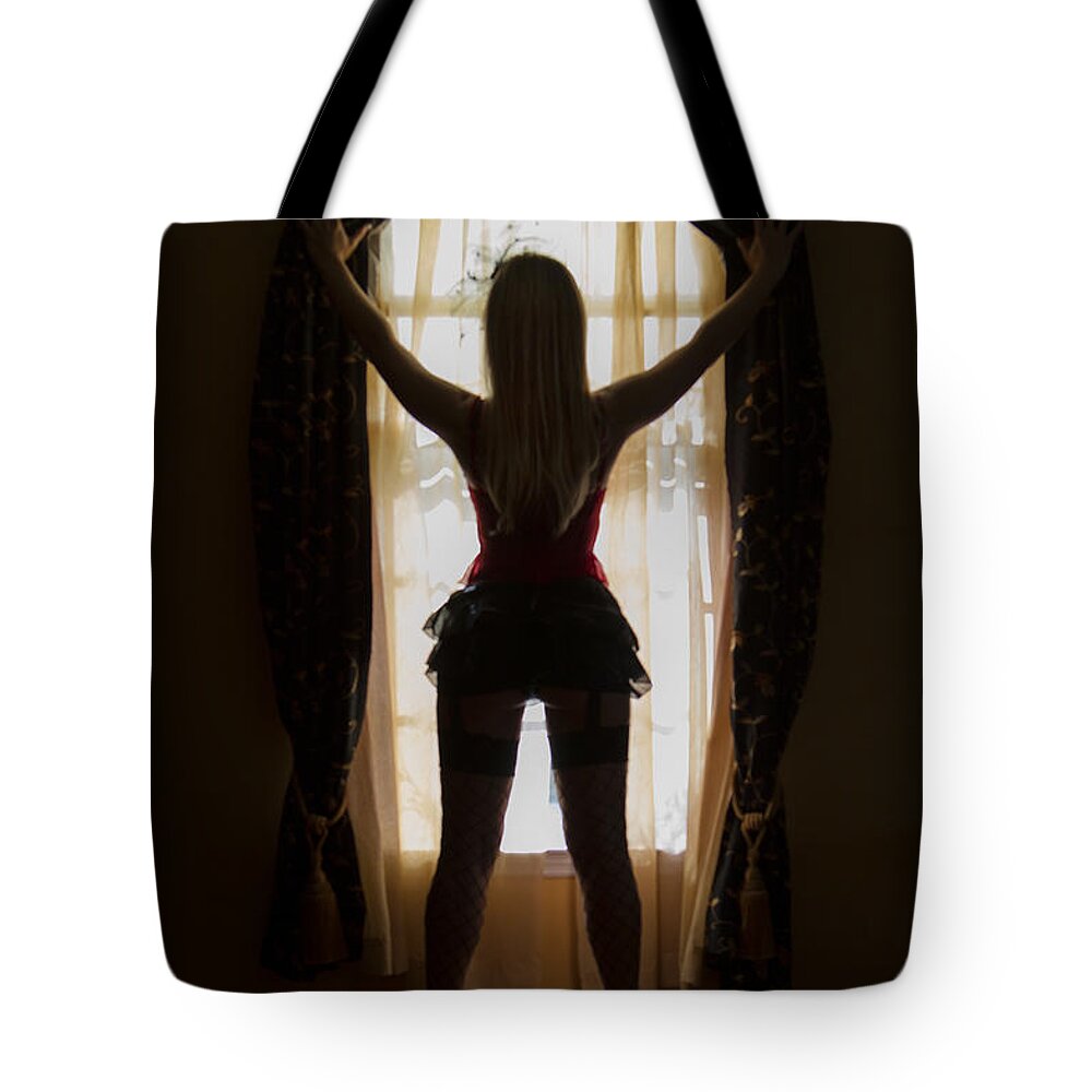 Alone Tote Bag featuring the photograph Look Through My Window by Evelina Kremsdorf