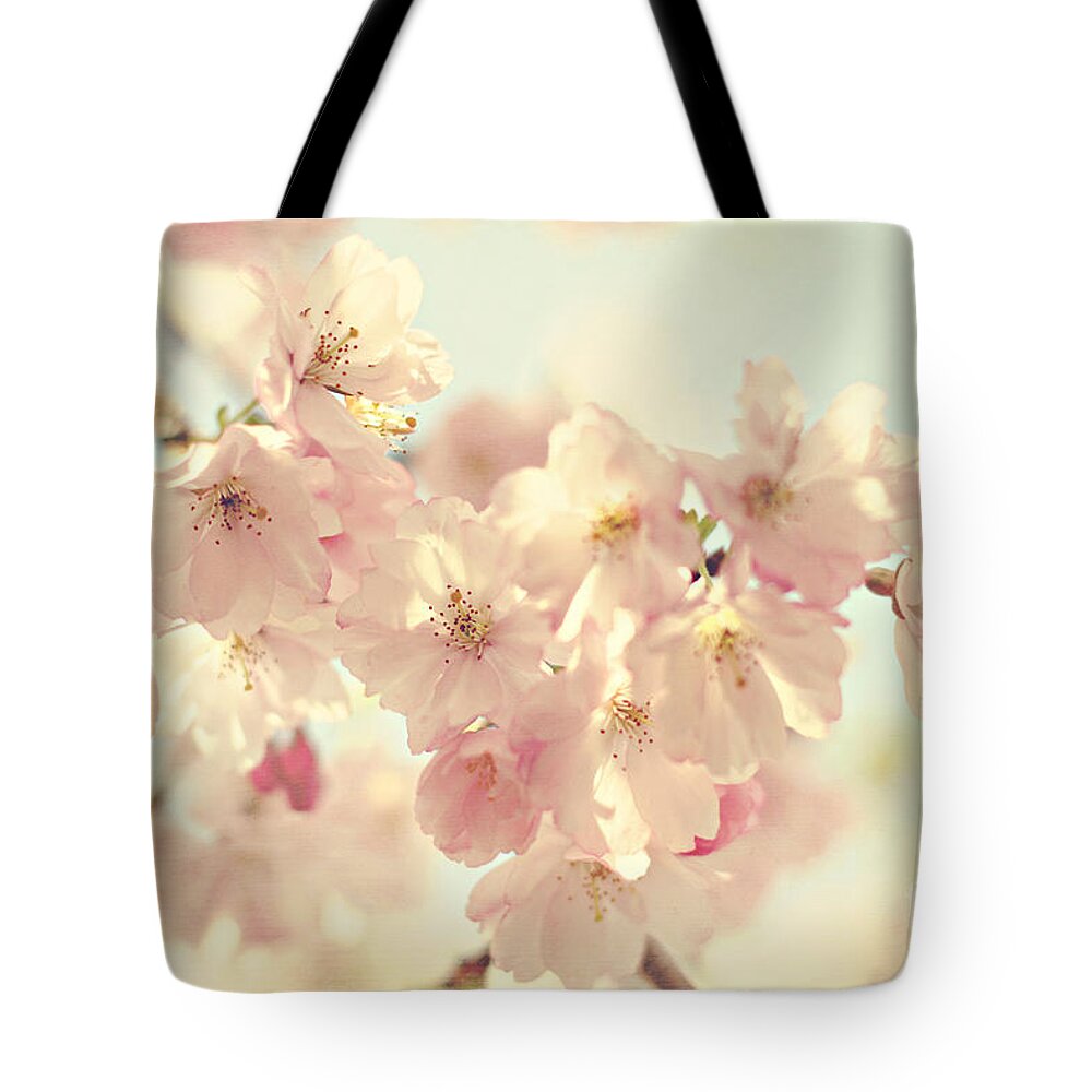 Cherry Blossoms Tote Bag featuring the photograph Look Up by Sylvia Cook