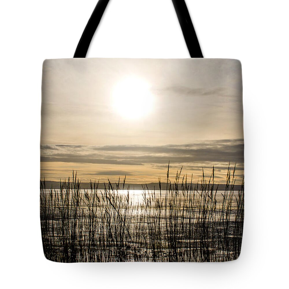 North Wales Tote Bag featuring the photograph Looking at Wales through the grass by Spikey Mouse Photography