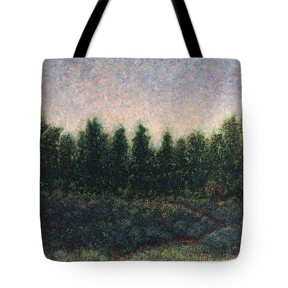 River Tote Bag featuring the painting Looking Back by James W Johnson