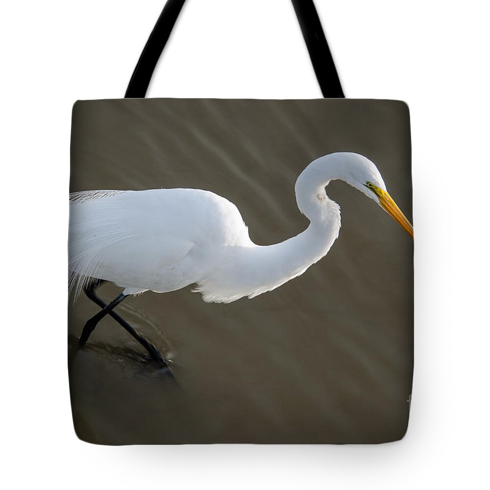 White Heron Tote Bag featuring the photograph Looking for Dinner by Dale Powell