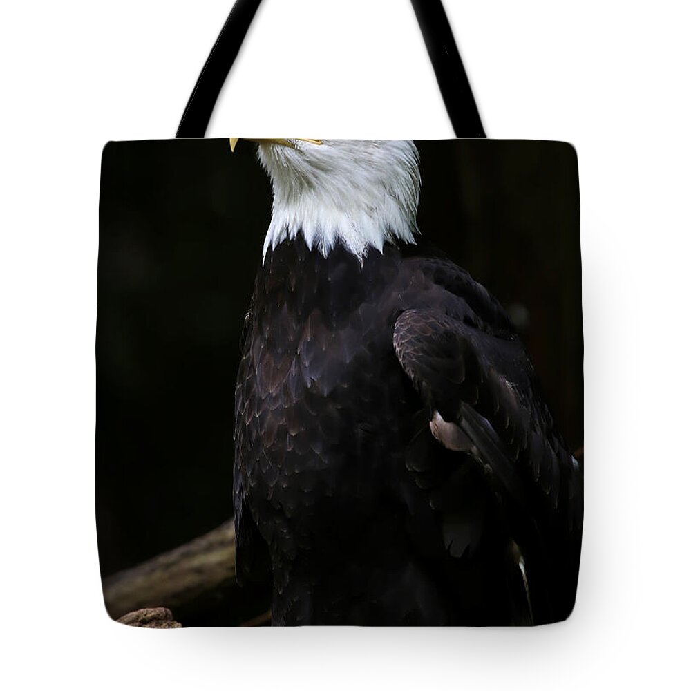 Eagle Tote Bag featuring the photograph Looking For Strength by Athena Mckinzie