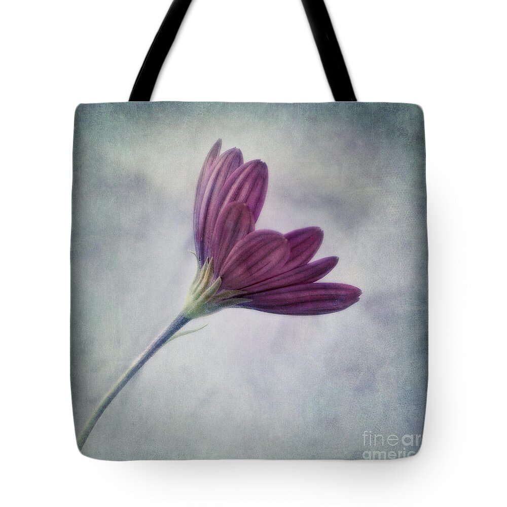 Daisy Tote Bag featuring the photograph Looking For You by Priska Wettstein