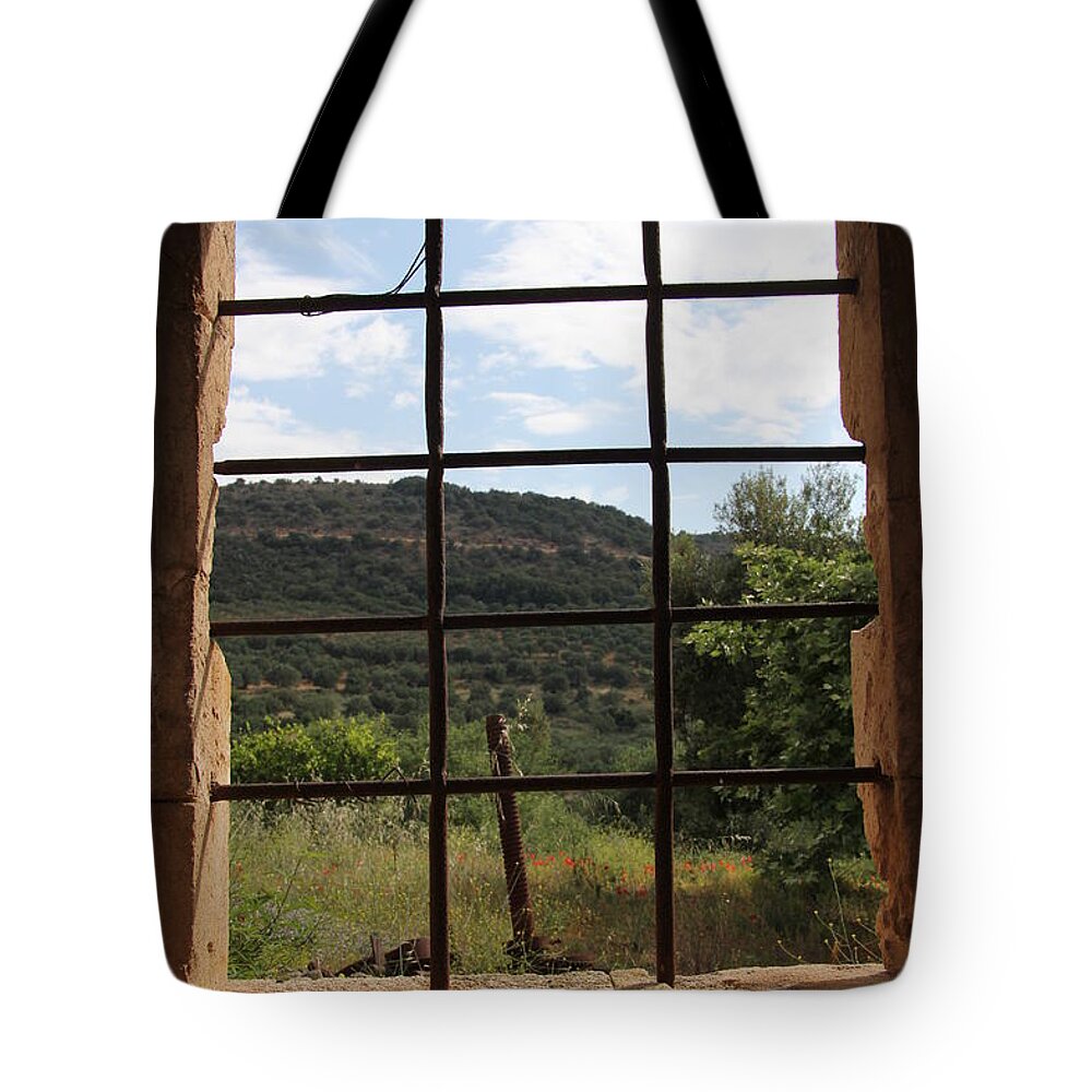 Looking Tote Bag featuring the photograph Looking Out by Diane Lesser