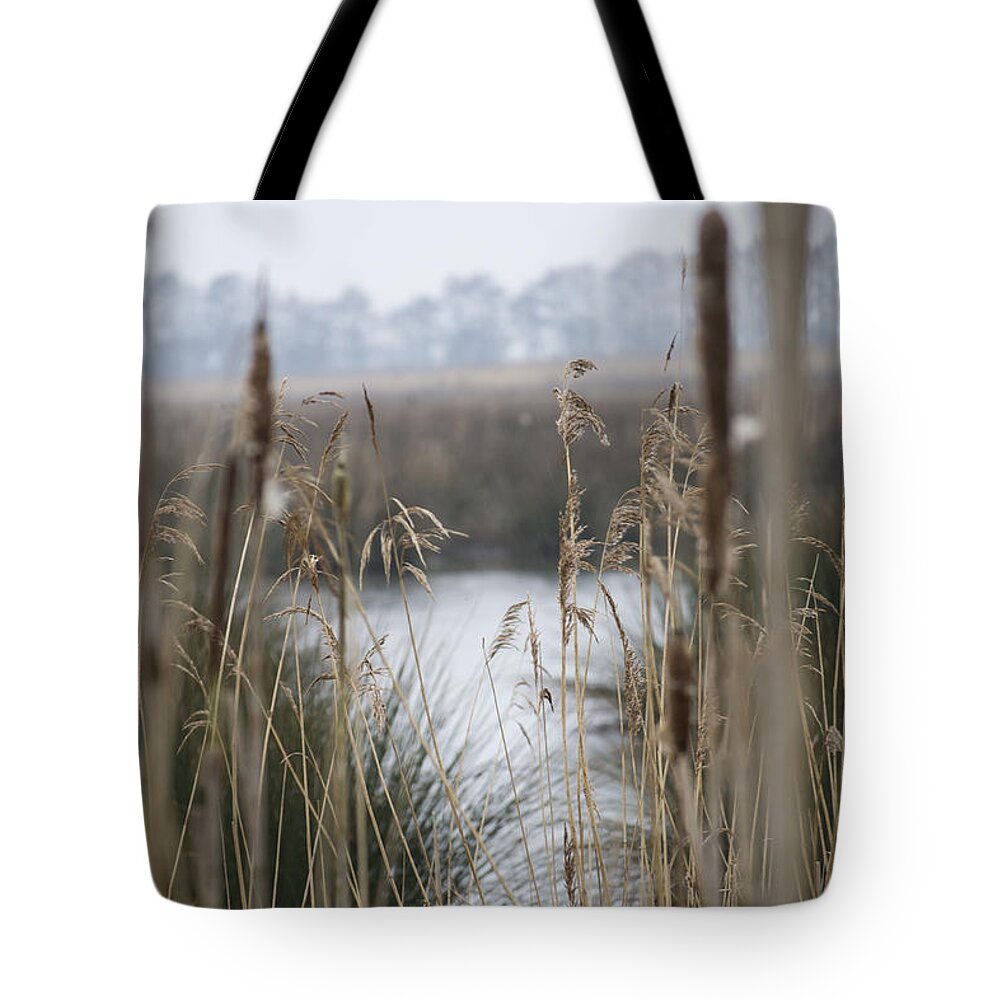 Reeds Tote Bag featuring the photograph Looking through the Reeds by Spikey Mouse Photography