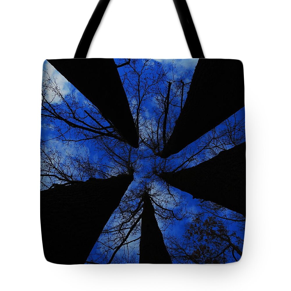 Trees Tote Bag featuring the photograph Looking Up by Raymond Salani III