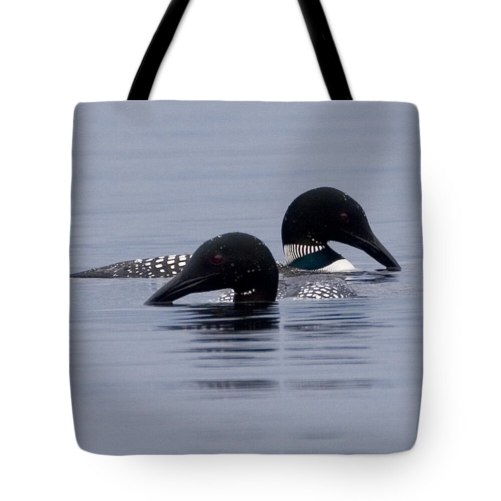 Loon Tote Bag featuring the photograph Loon Love by Brent L Ander
