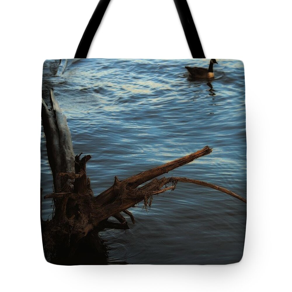 Goose Tote Bag featuring the photograph Loosey Goosey by Robert McCubbin