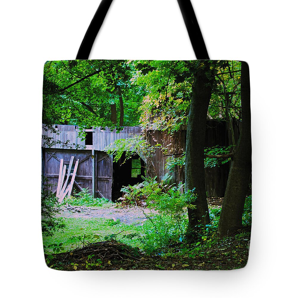 Abandoned Tote Bag featuring the photograph Lost Building by William Norton