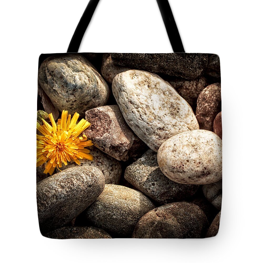Abandoned Tote Bag featuring the photograph Lost by Silvia Ganora