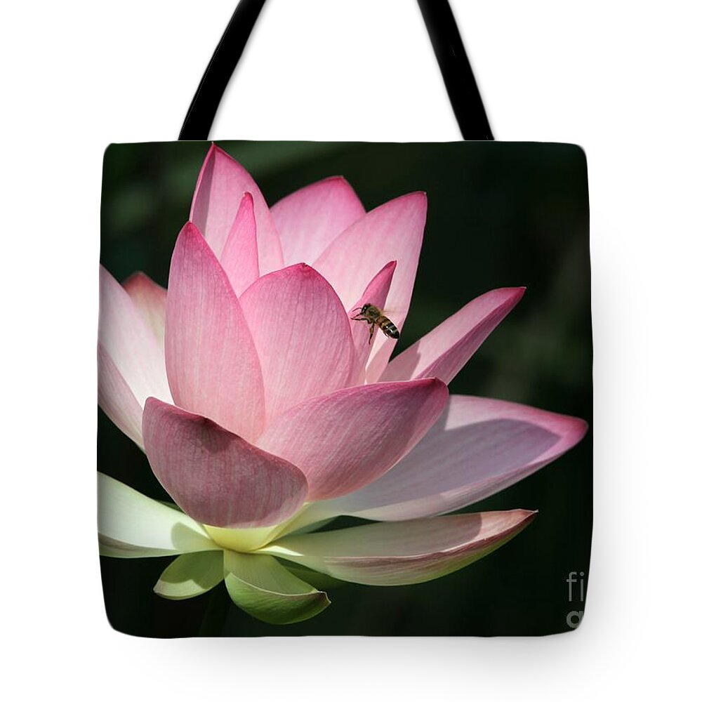 Lotus Tote Bag featuring the photograph Lotus and a Bee by Sabrina L Ryan