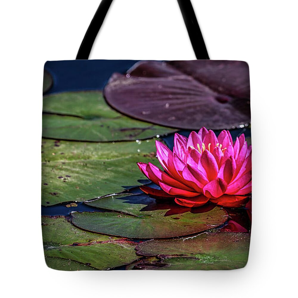 California Tote Bag featuring the photograph Lotus Flower by (c) Swapan Jha