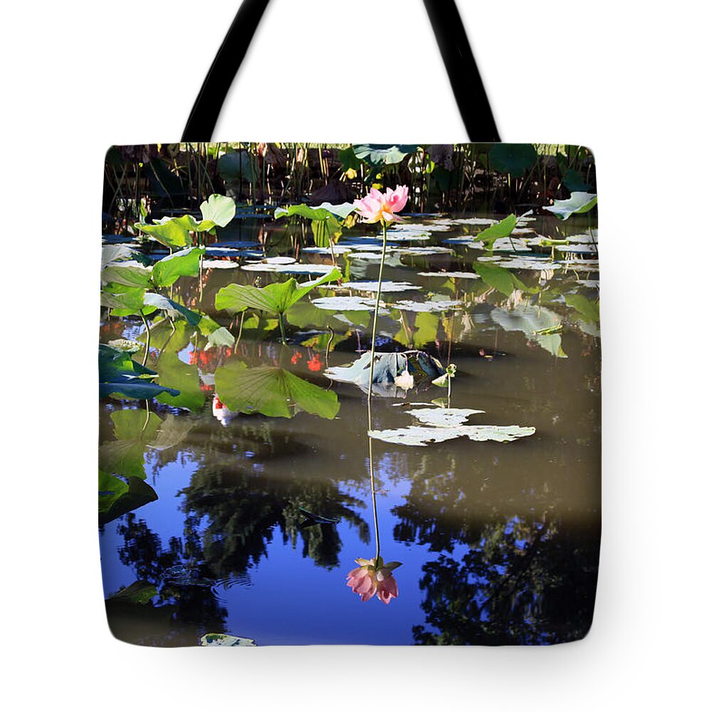 Garden Pond Tote Bag featuring the photograph Lotus Reflection by John Lautermilch