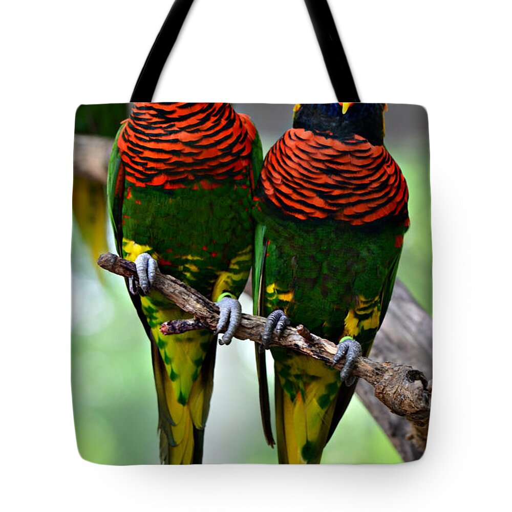 Love Birds Tote Bag featuring the photograph Love Birds by Ally White
