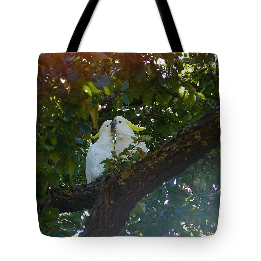 Love Tote Bag featuring the photograph Love Birds by Evelyn Tambour