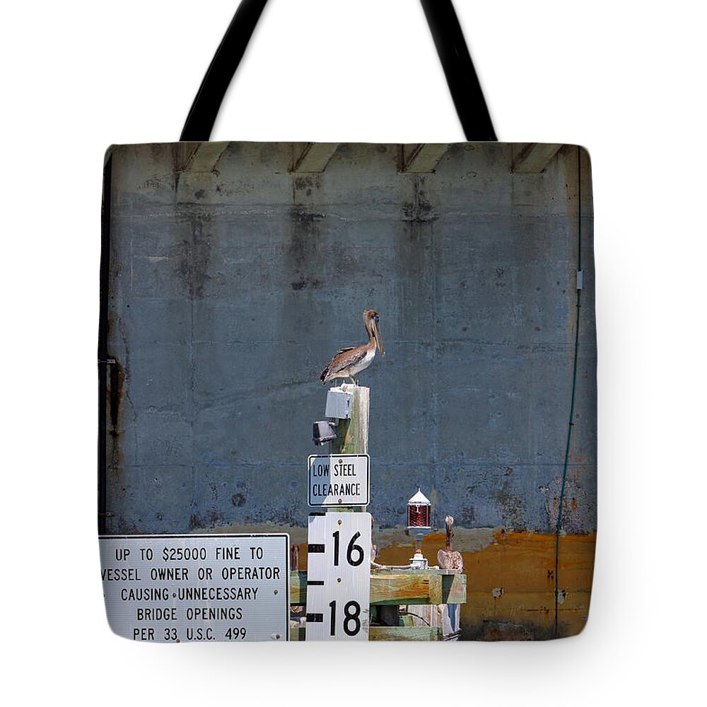  Florida Tote Bag featuring the photograph Low Tide by Rick Kuperberg Sr
