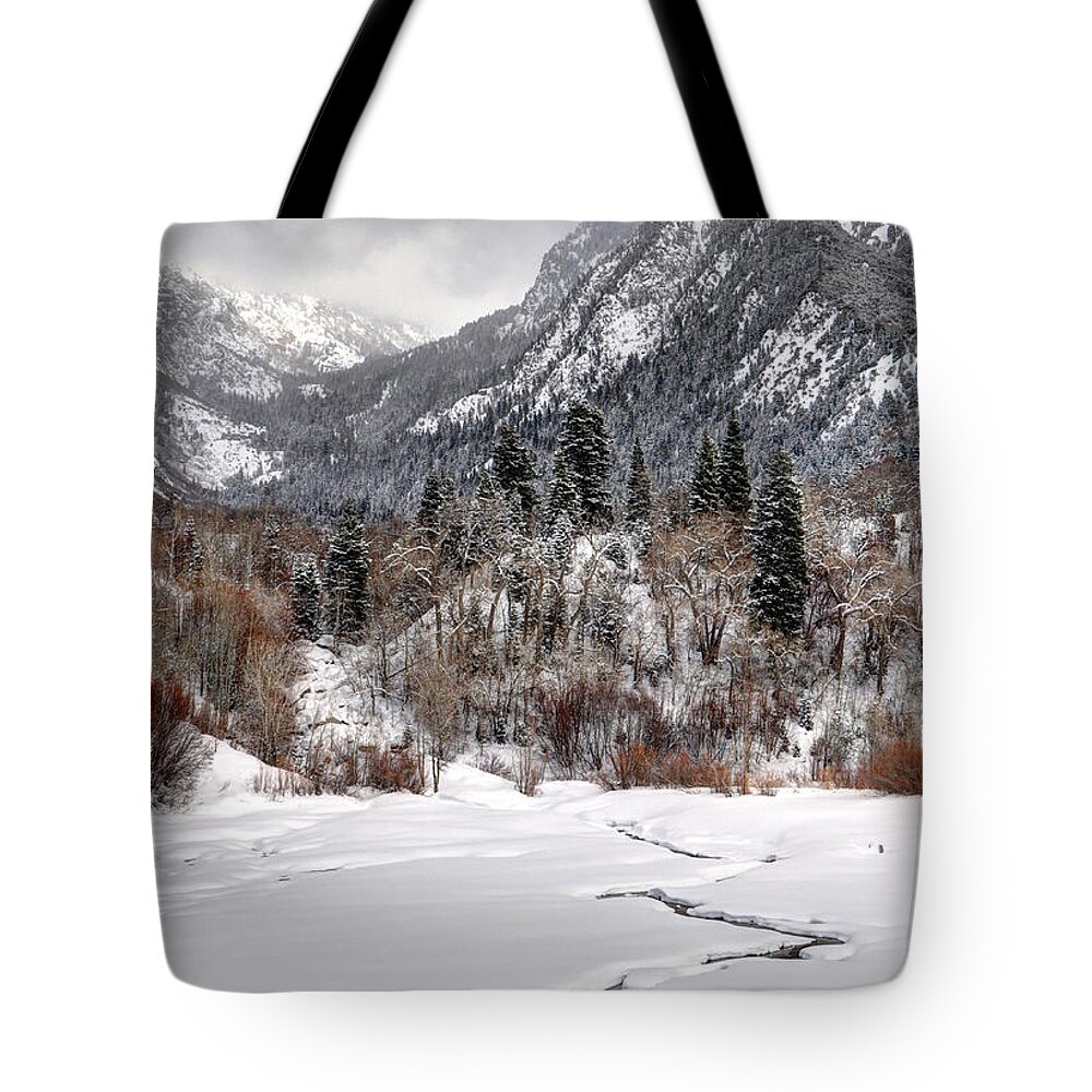 Wasatch Mountains Tote Bag featuring the photograph Lower Bell Canyon Reservoir in Winter - Wasatch Mountains - Utah by Gary Whitton