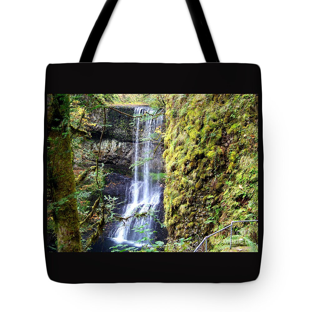 South Falls Tote Bag featuring the photograph Lower South Falls Moss Covered Rocks by Charles Robinson