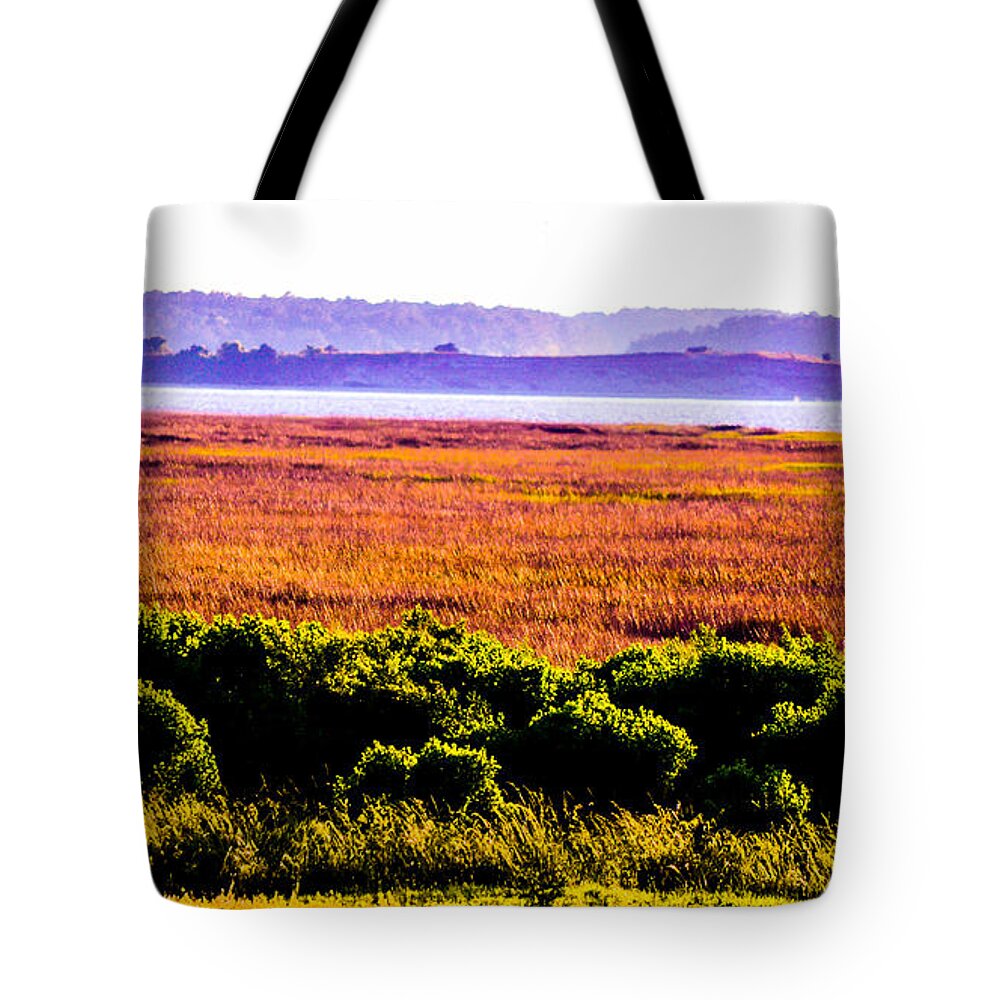 Cape Fear Tote Bag featuring the photograph Lowland Light by Mary Hahn Ward