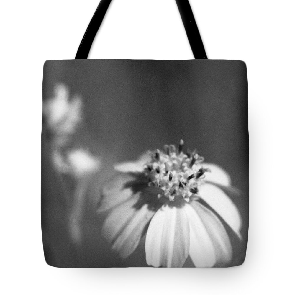 Florida Tote Bag featuring the photograph Loxahatchee Flower by Bradley R Youngberg