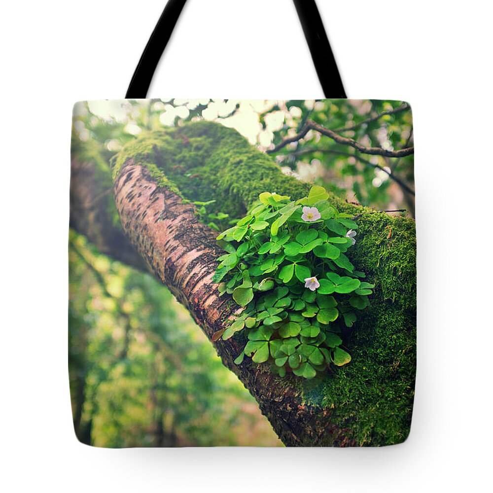 County Laois Tote Bag featuring the photograph Lucky Clover by Image By Catherine Macbride