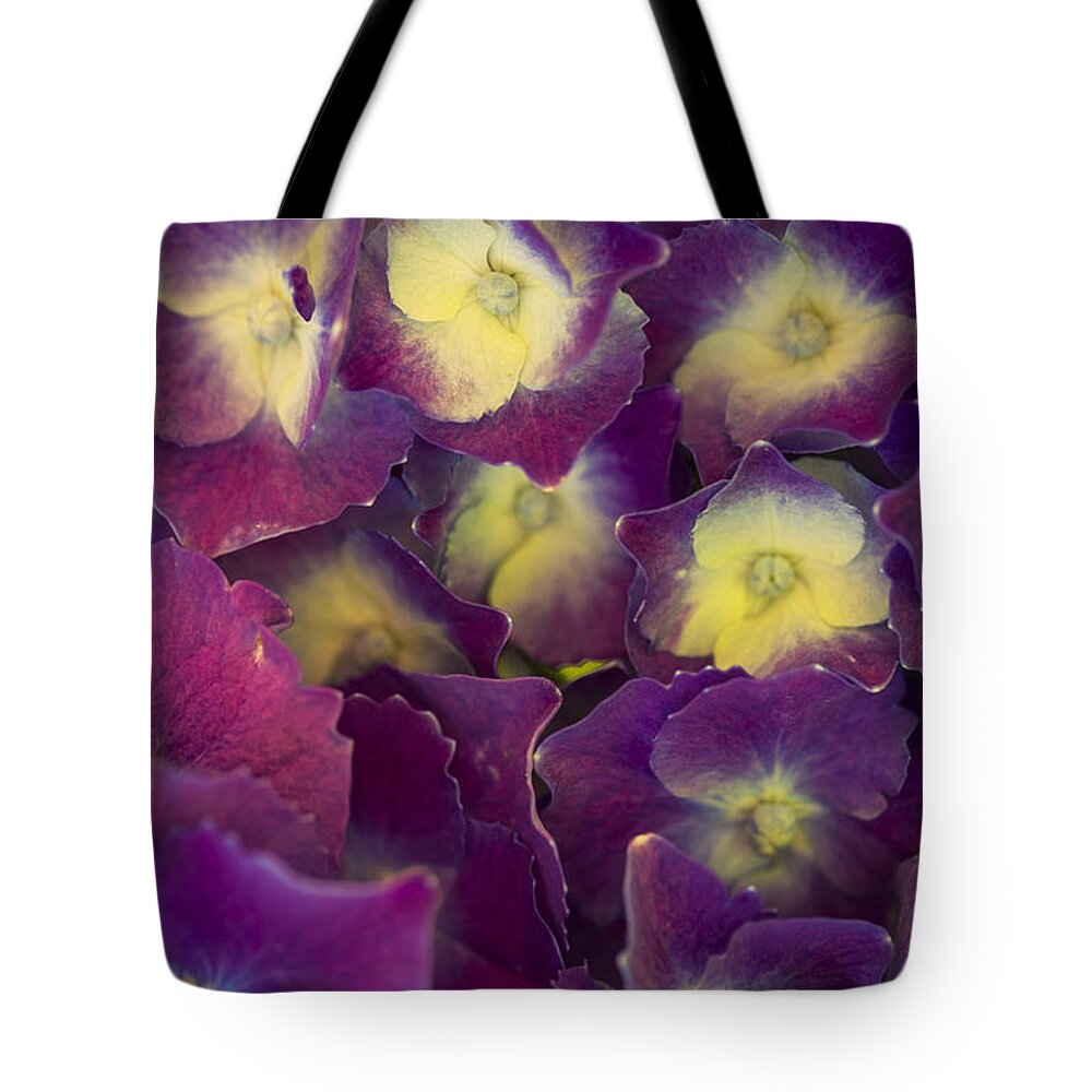 Hydrangeas Tote Bag featuring the photograph Lucky Seven Hydrangeas by Scott Campbell