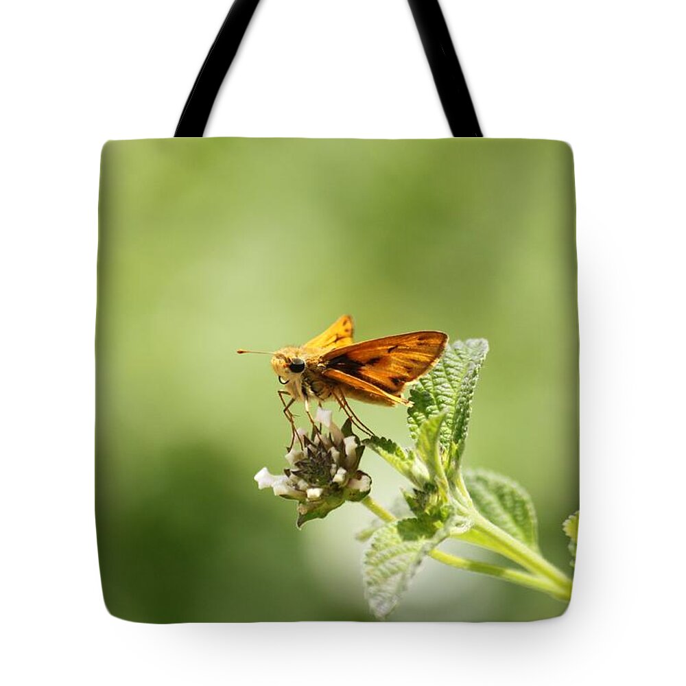 Butterfly Tote Bag featuring the photograph Lunch Time by Amy Gallagher