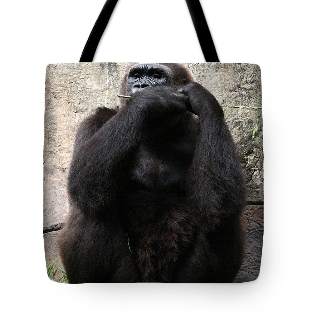 Busch Gardens Tote Bag featuring the photograph Lunch Time by David Nicholls
