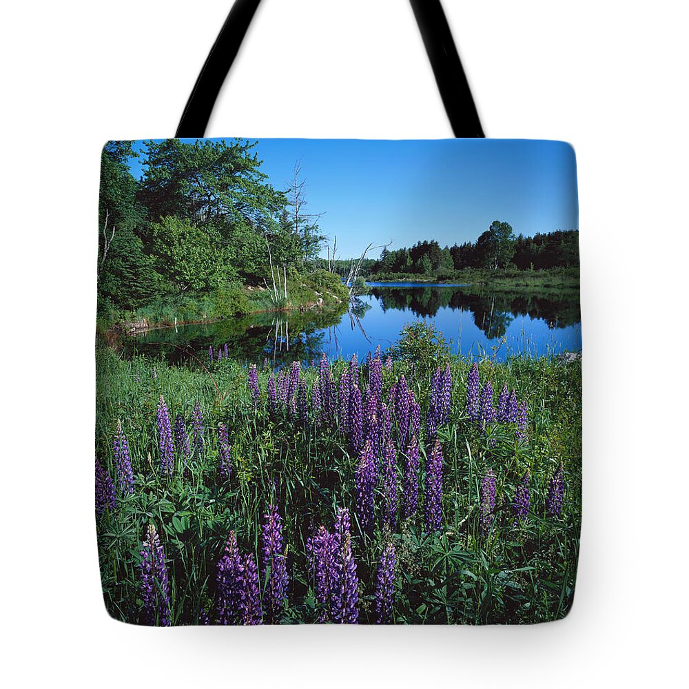 Maine Tote Bag featuring the photograph Lupin and Lake by Tom Daniel