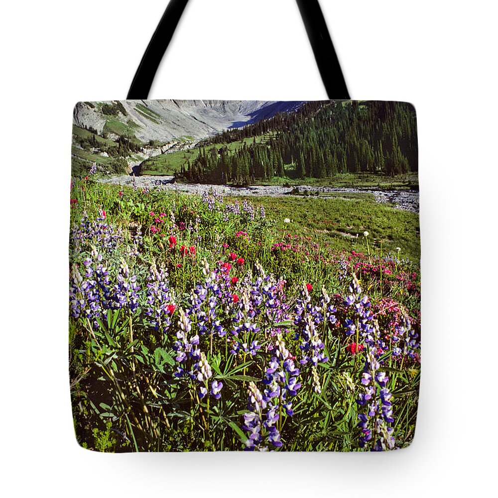 Alpine Tote Bag featuring the photograph Lupine and Paintbrush Blooming at Indian Bar by Jeff Goulden
