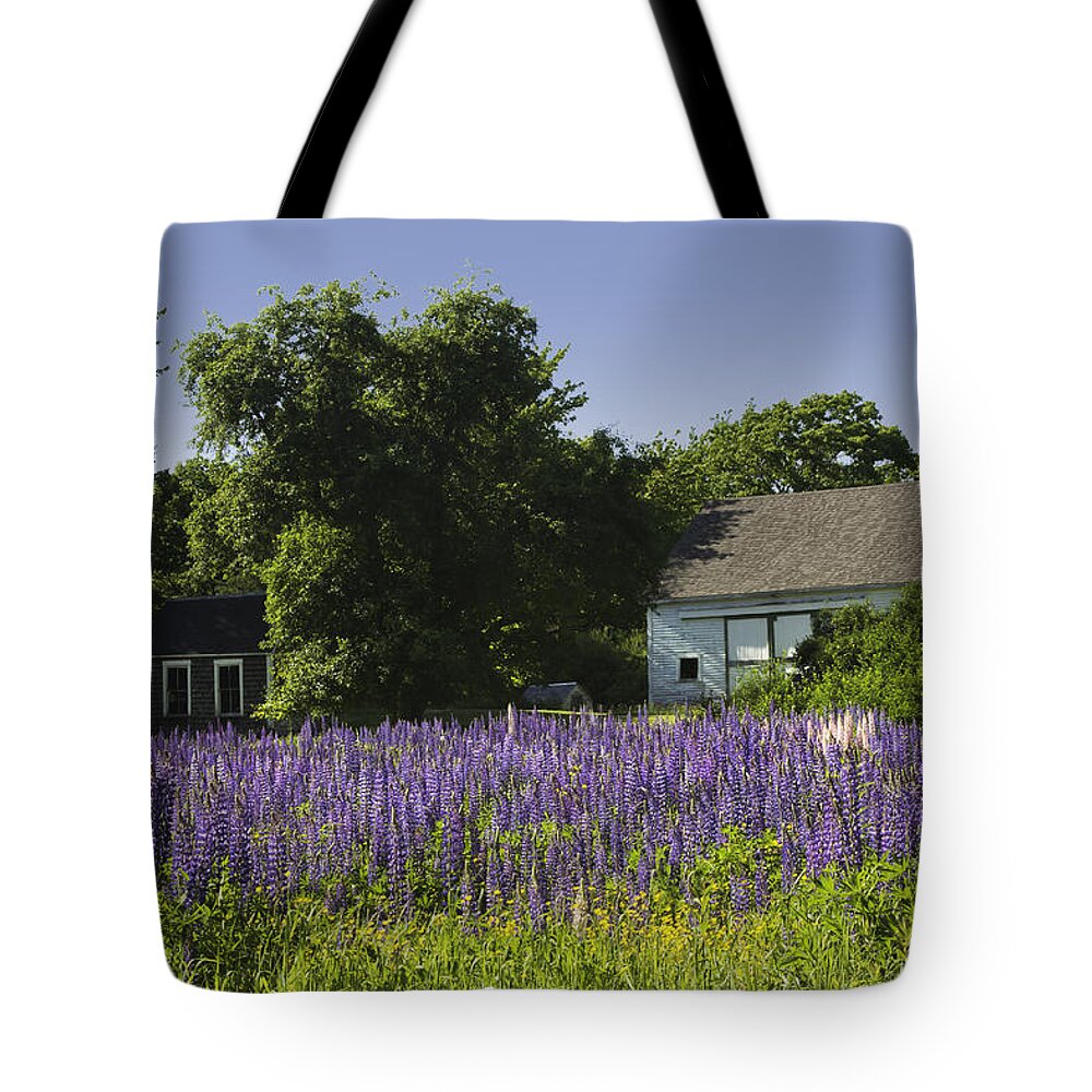Lupine Flowers Tote Bag featuring the photograph Lupine Flowers Near Round Pond Maine by Keith Webber Jr