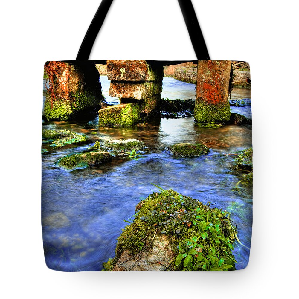  Tote Bag featuring the photograph Lwv20041 by Lee Winter