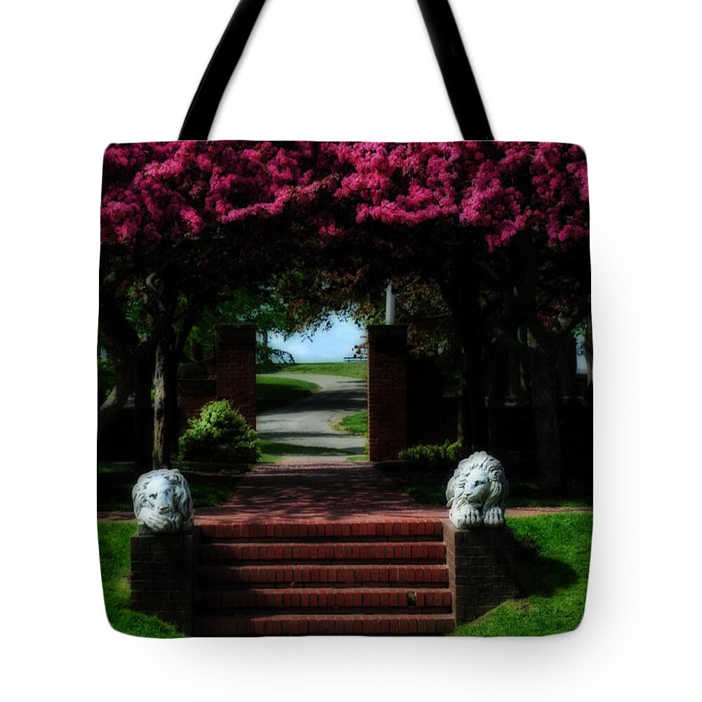 Park Tote Bag featuring the photograph Lynch Park by Mike Martin
