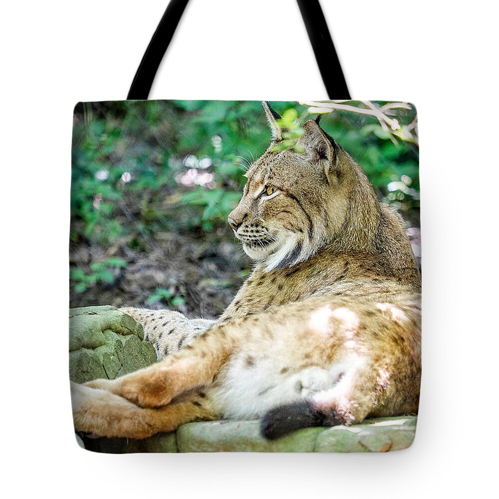 Lynx Tote Bag featuring the photograph Lynx by Brett Engle
