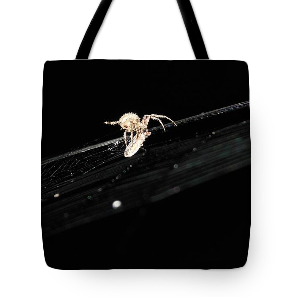 Macabre Tote Bag featuring the photograph Weaver by Beverly Shelby
