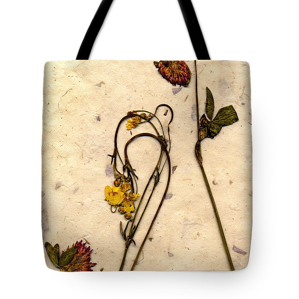  Tote Bag featuring the photograph Mache4 by Matthew Pace