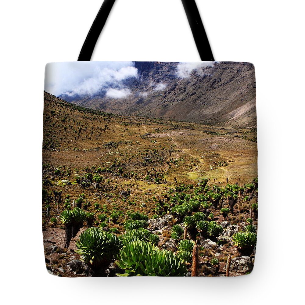 Mount Kenya Tote Bag featuring the photograph Mackinder's Valley by Aidan Moran