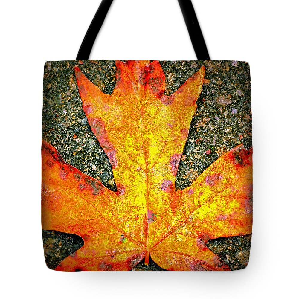 Maple Leaf Tote Bag featuring the photograph Macro Maple Autumn by Tikvah's Hope