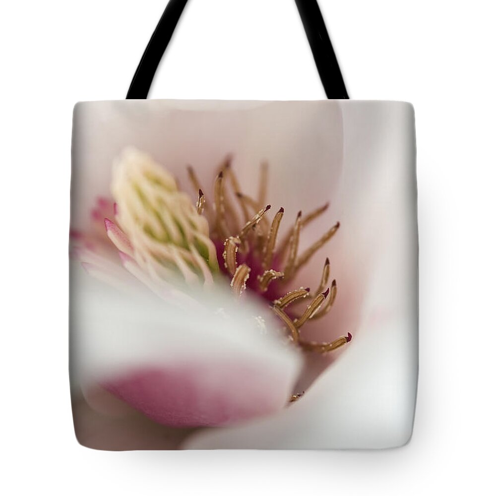 Magnolia Flower Tote Bag featuring the photograph Macro of a tulip tree blossom by Maria Heyens