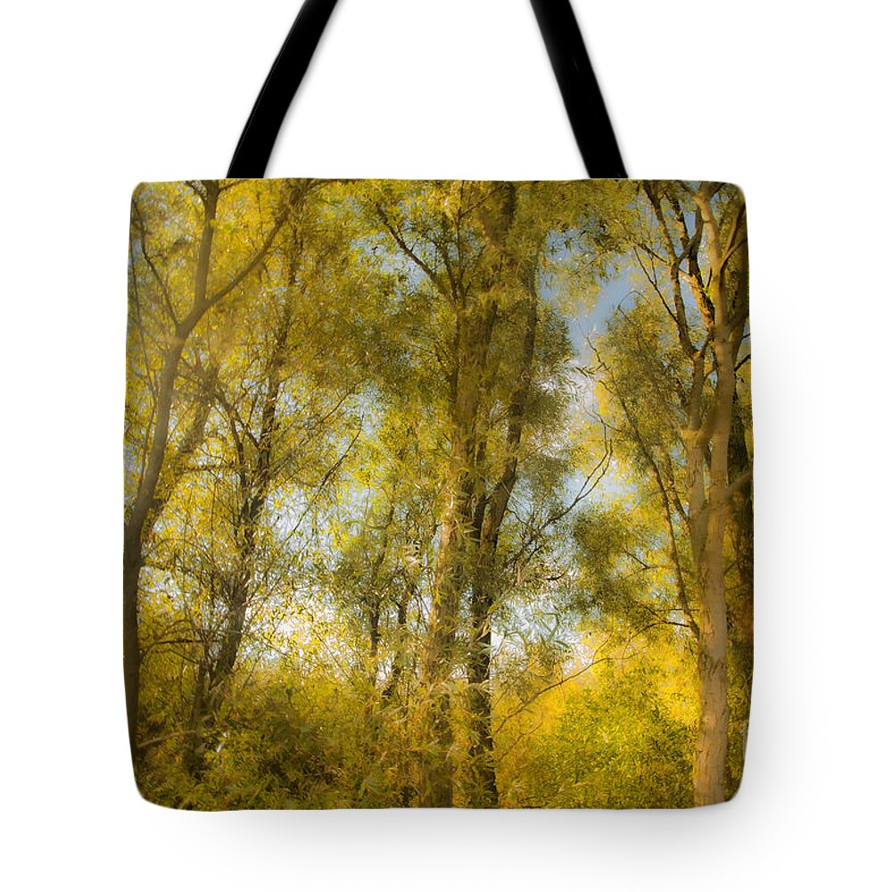 Trees Tote Bag featuring the photograph Magic Forest-4 by Casper Cammeraat