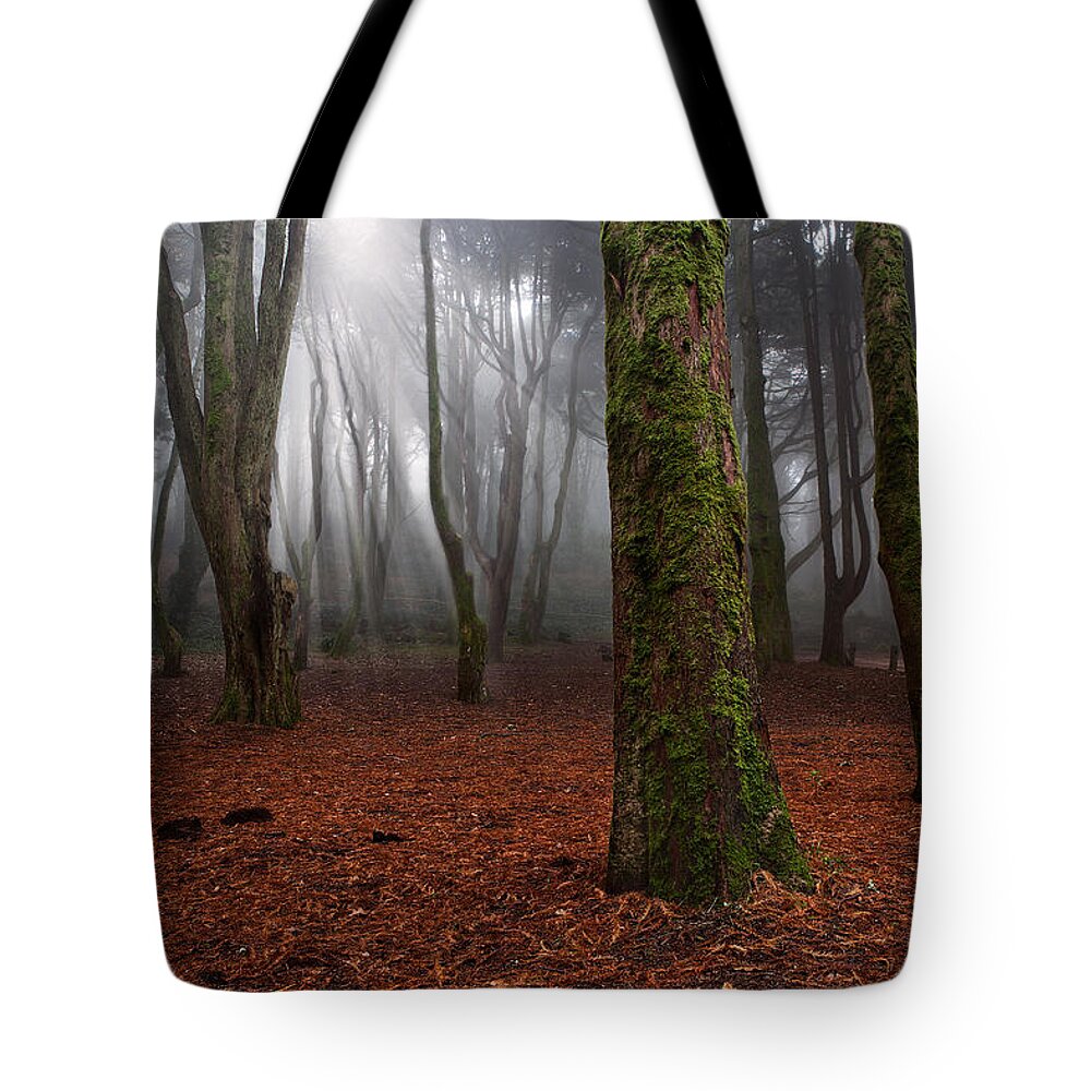 Light Tote Bag featuring the photograph Magic light by Jorge Maia