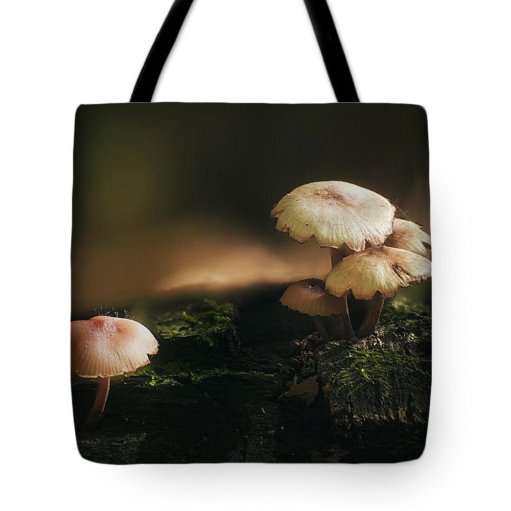 Mushroom Tote Bag featuring the photograph Magic Mushrooms by Scott Norris