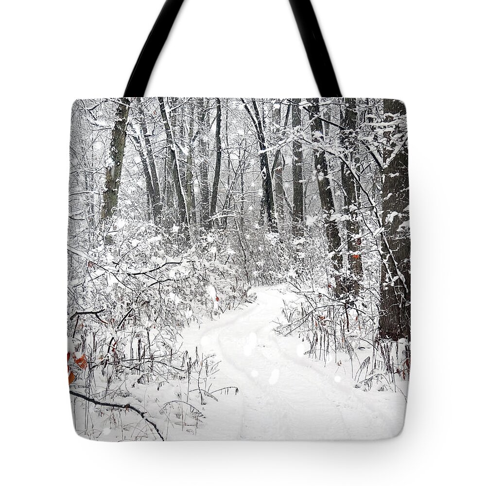 Winter Tote Bag featuring the photograph Magical by Mikki Cucuzzo