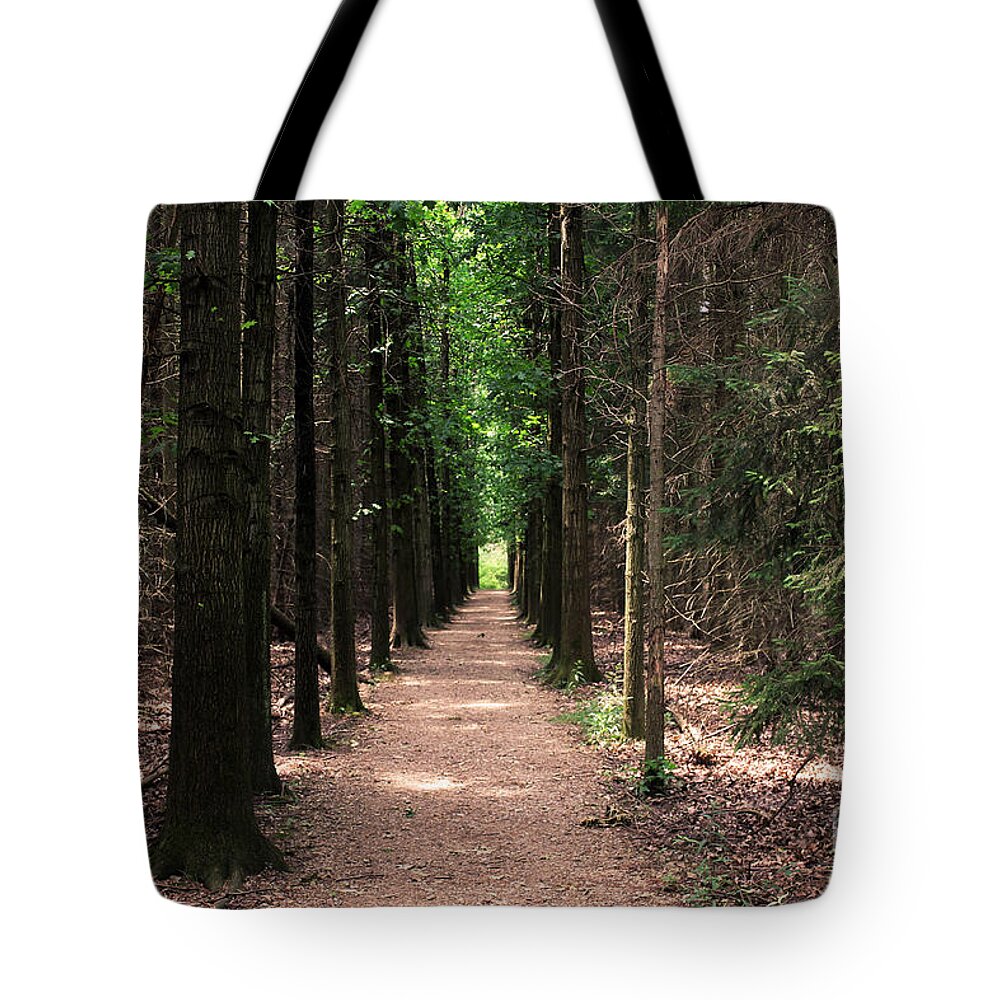 Trees Tote Bag featuring the photograph Magical Path by Bruce Patrick Smith
