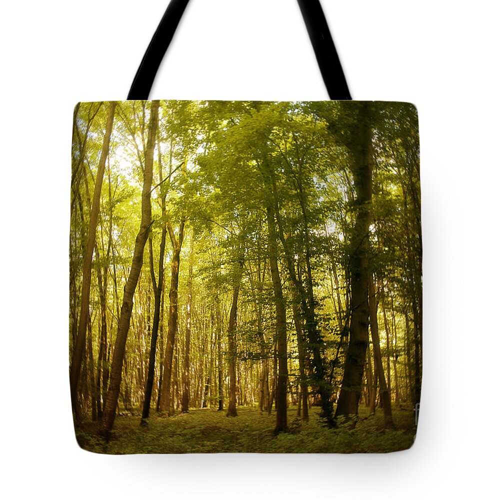 Photography Tote Bag featuring the photograph Magical Woodlands by Ivy Ho