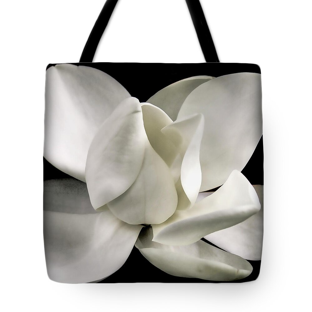 Magnolia Tote Bag featuring the photograph Magnolia Bloom by David Patterson